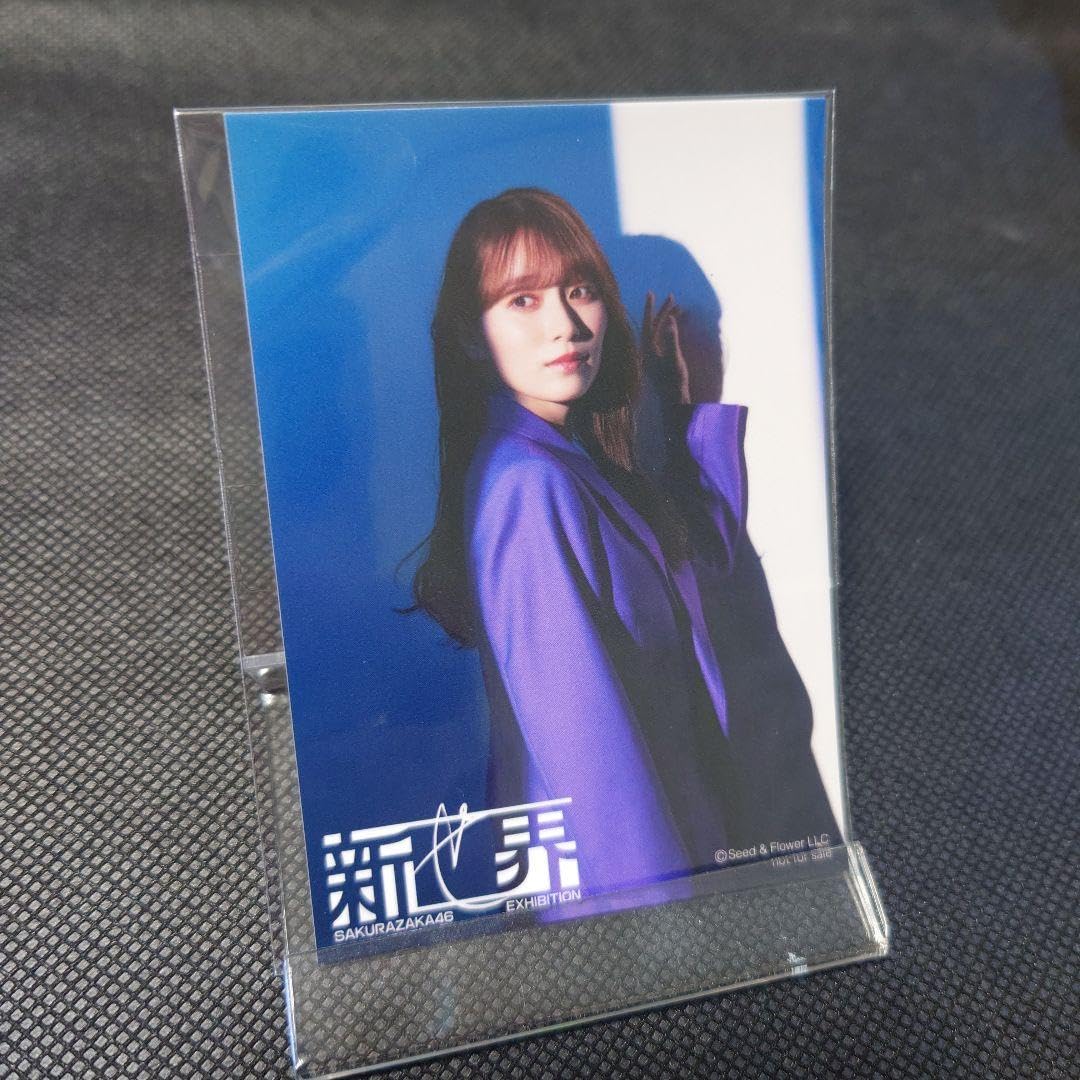Amazon.co.jp: 櫻坂46 新せ界 クッキー ステッカー 守屋麗奈 : おもちゃ